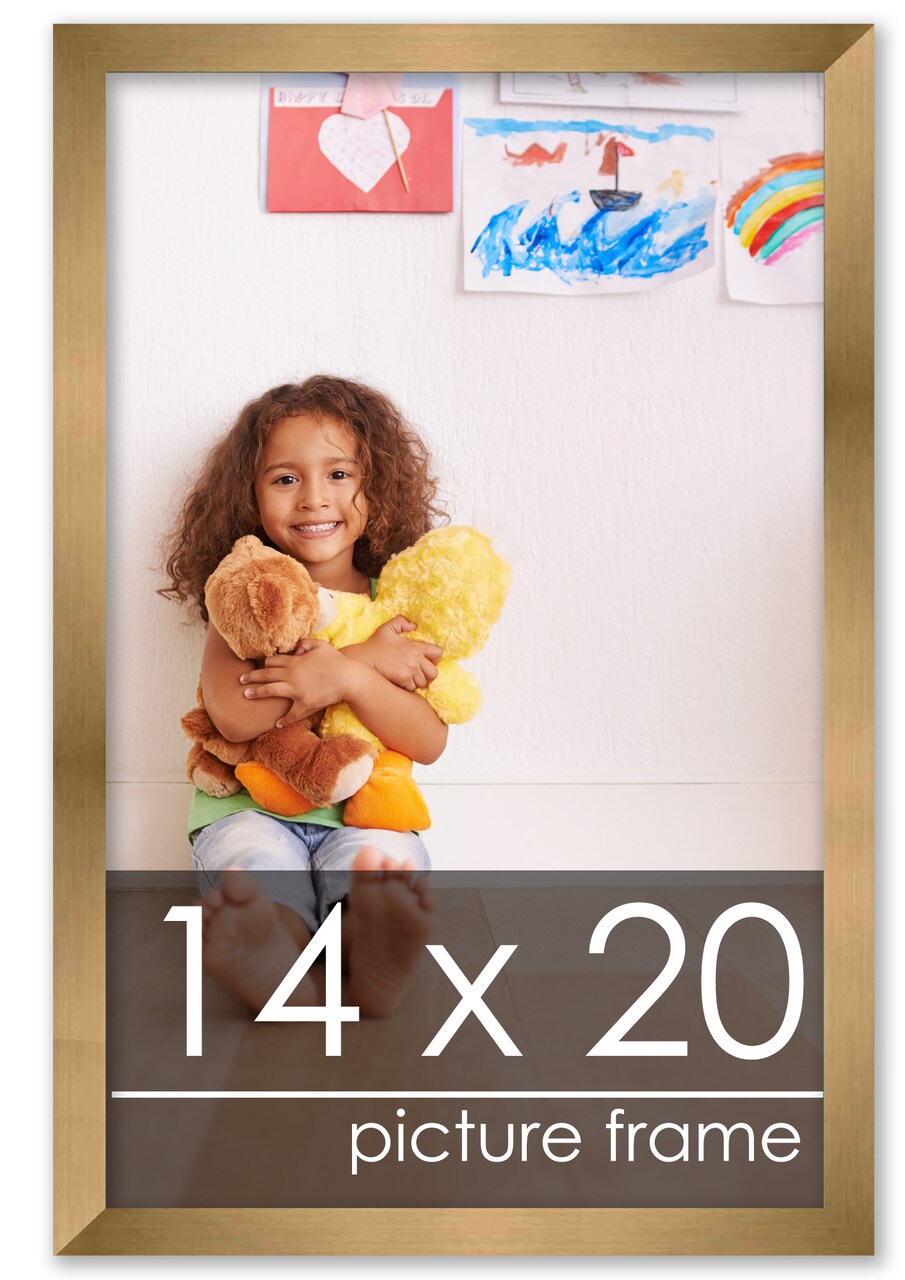 14x20 Solid Wood Picture Frame with UV-Resistant Acrylic & Acid-Free Backing, Available in 6 Finishes: Matte Black, Matte White, Metallic Bronze, Silver, Natural Wood Grain & Mahogany